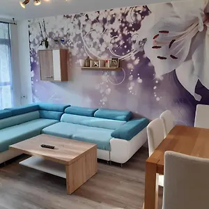Apartmán Byt V Blízkosti Centra Karlových Varů Karlovy Vary